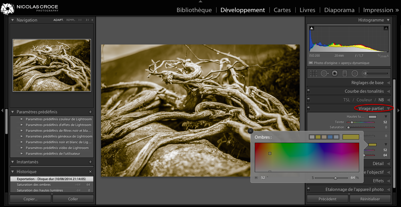 virage-partiel-lightroom-panneau
