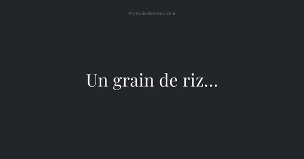 Un grain de riz…