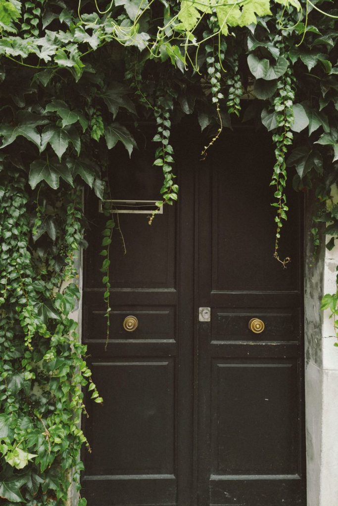 Une porte ancienne encadrée de lierre